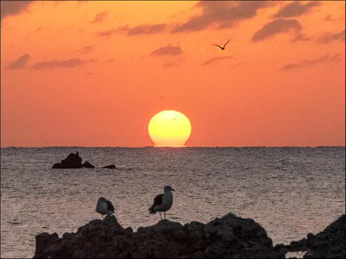 8���̎ʐ^���X���C�h���Ă܂�