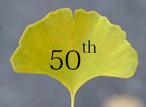 �V���{��