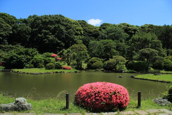 ���ΐ�A����