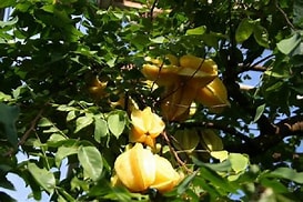 ���ΐ�A����