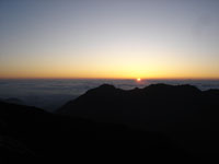 �������̎ʐ^