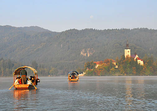 �ʐ^�Fasc_7376-2