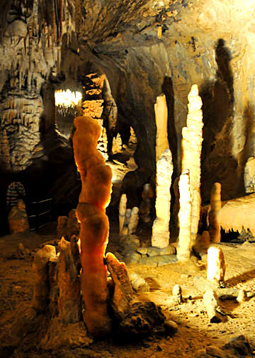 �ʐ^�Fdsc_7446-2