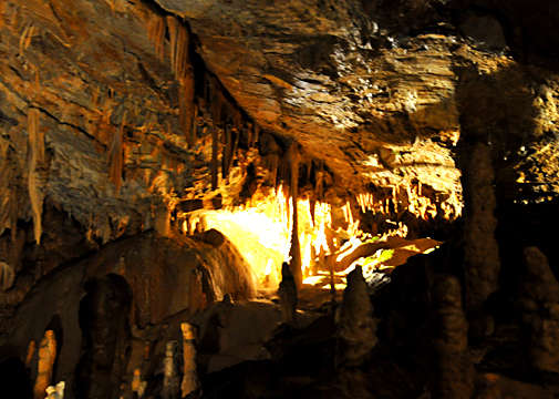 �ʐ^�Fdsc_7456-2