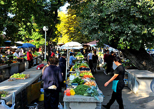 �ʐ^�Fdsc_7665-2