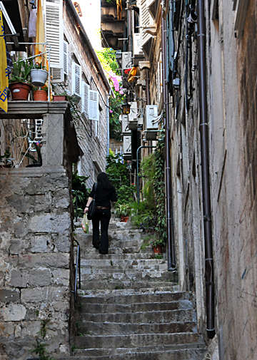 �ʐ^�Fdsc_7944-2