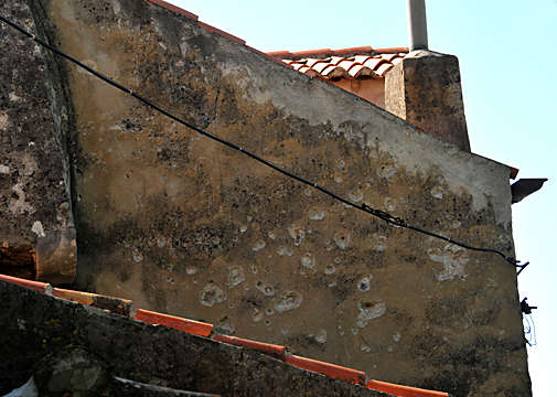 �ʐ^�Fdsc_7964-2