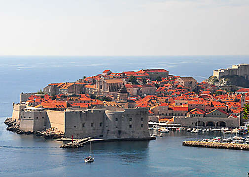 �ʐ^�Fdsc_8009-2