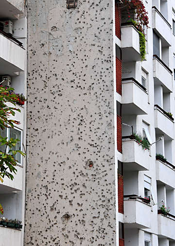 �ʐ^�Fdsc_8071-2