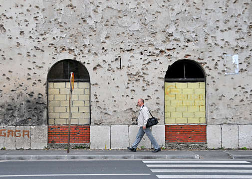 �ʐ^�Fdsc_8085-2