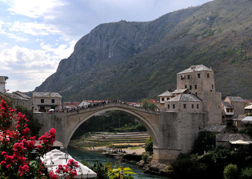 �ʐ^�Fdsc_8145-2