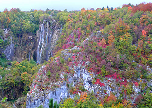 �ʐ^�Fp1000917-2