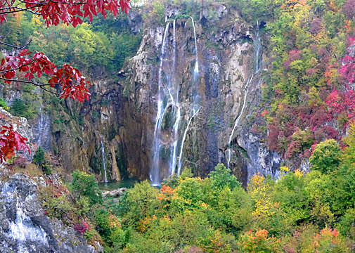 �ʐ^�Fp1000931-2