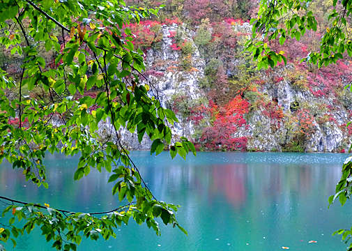 �ʐ^�Fp1000938-2