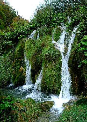 �ʐ^�Fp1000940-2