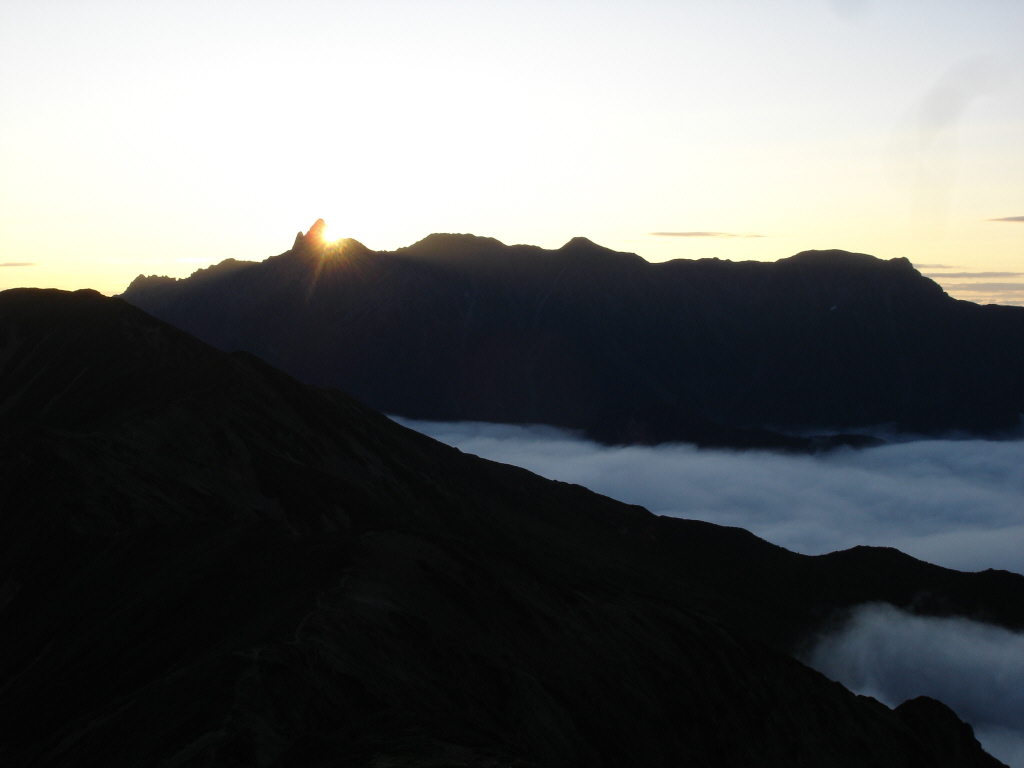 �u�_�C�������h�����x�v�̎ʐ^