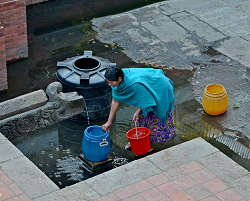 �p�^���E�����ݏ�ł̎ʐ^�k1�l