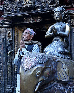 �p�^���E�S�[���f���E�e���v���ł̎ʐ^