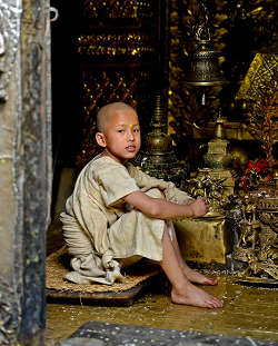 �p�^���E�S�[���f���E�e���v���ł̎ʐ^