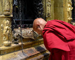 �J�g�}���h�E�E�{�^�i�[�g�ł̎ʐ^