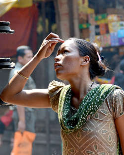 �J�g�}���h�E�E�X�������u�i�[�h���@�ł̎ʐ^