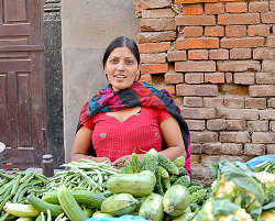 �p�^���E���s�ł̎ʐ^