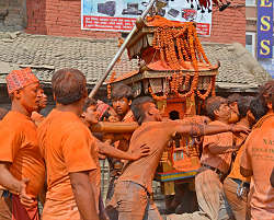 �e�B�~�@�A�r���Ղ̎ʐ^��k1�l