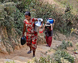 �o���f�B�v�������ݏ�ł̎ʐ^