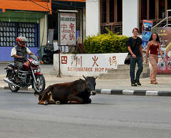 �|�J���@�����̒��ł̎ʐ^