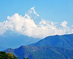 �|�J���@�A���i�v���i�̗Y�p�̎ʐ^