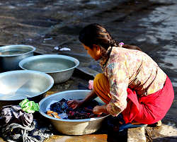 �J�g�}���h�E�ߍx�̑��@�����ł̎ʐ^