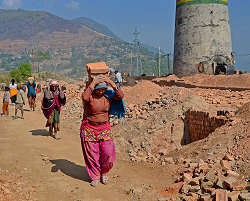 �J�g�}���h�E�ߍx�̑��@�����K�^�т����Ă���ʐ^