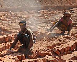 �J�g�}���h�E�ߍx�̑��@�����K�H��ł̎ʐ^