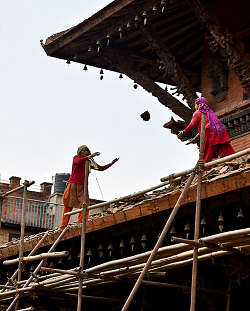 �p�^���E�_���o�[���L��@���@�̉��C�H���̎ʐ^