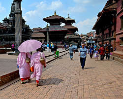 �p�^���E�_���o�[���L��ł̎ʐ^