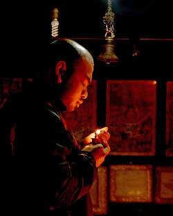 �p�^���E�S�[���f���E�e���v���ł̎ʐ^