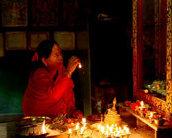 �p�^���E�S�[���f���E�e���v���ł̎ʐ^(5)