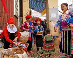 �T�p�s��̎ʐ^