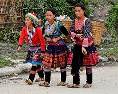 �ԃ������i�V�j�̎ʐ^