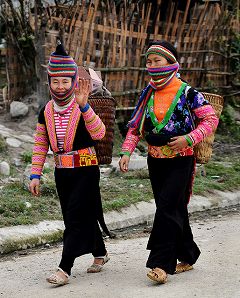 ���������̎ʐ^