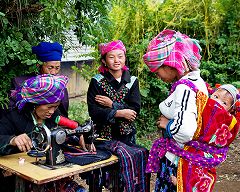 ���U�I���@�e�q4��̎ʐ^