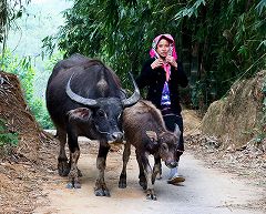 ���[���i�Q�j�̎ʐ^