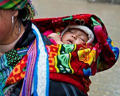 ���������i�R�j�̎ʐ^