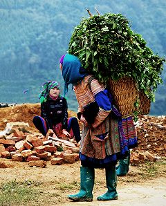 �^�[�C���i�Q�j�̎ʐ^