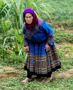 �^�[�C���i�R�j�̎ʐ^