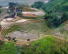 �^�[�C���̎ʐ^