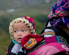 �ԃ������c�q�̎ʐ^