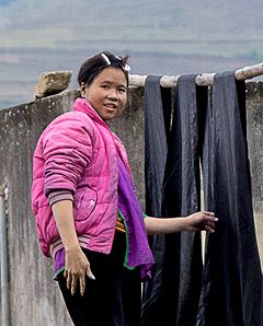 �U�C���@�����߁i�Q�j�̎ʐ^