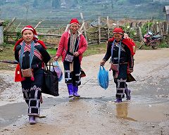 �ԃU�I���i�P�j�̎ʐ^��