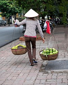 �n�m�C�X�p�̎ʐ^